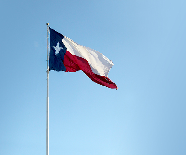 Texas Flag